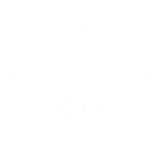 360 Vibe